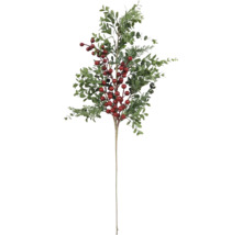 Dekorativer Zweig mit Blättern und Beeren für festliche Dekorationen
