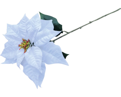 Poinsettia artificielle blanche avec tige et feuilles