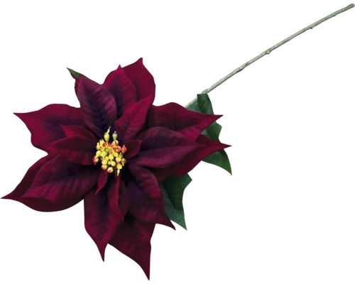 Fleur de poinsettia rouge décorative avec tige et feuilles vertes.