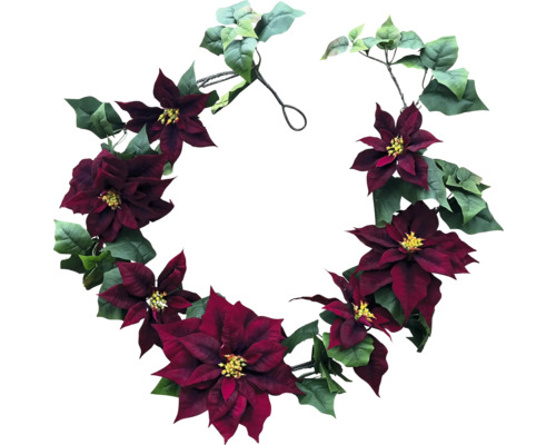 Couronne d''étoiles de Noël avec feuilles vertes