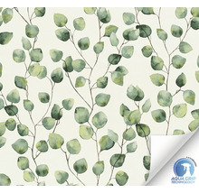 Papier peint avec motif d''eucalyptus
