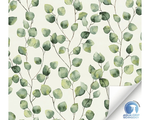 Papier peint avec motif d''eucalyptus