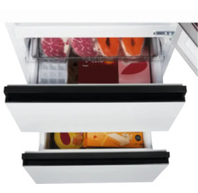 Tiroirs de congélateur remplis de viande, de poisson et de glace