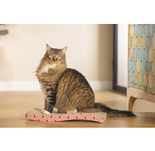 Chat assis sur un griffoir