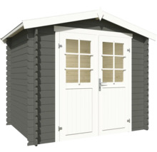 Abri de jardin avec double porte et fenêtres