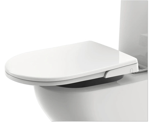 Toilettes avec fonction bidet en détail