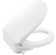 form&style Abattant de WC douche PAGAN fixation suisse uni Abaissement automatique FDB986DS