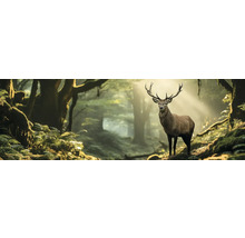 Hirsch im Wald