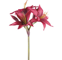 Künstliche Amaryllis mit mehreren Blüten und Stiel