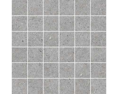 Feinsteinzeug Mosaik Sassi Gris 30X30cm