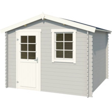 Abri de jardin avec porte et fenêtre