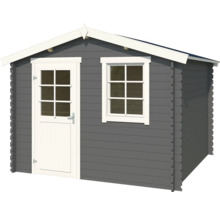 Abri de jardin avec fenêtre et porte