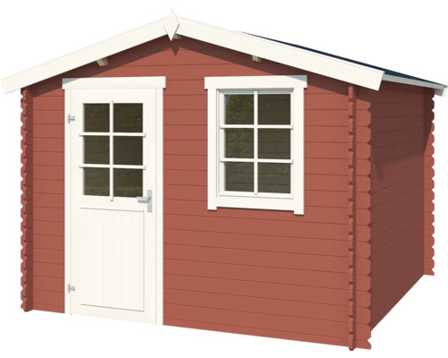 Abri de jardin avec porte et fenêtre