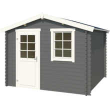 Abri de jardin gris avec fenêtre et porte