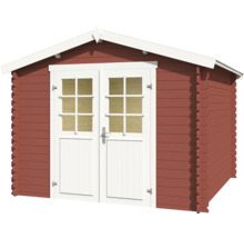 Abri de jardin avec double porte et fenêtres