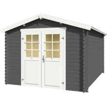 Abri de jardin avec double porte et fenêtres