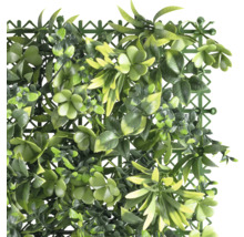Tapis de plantes artificielles avec différentes feuilles et une grille à l''arrière.