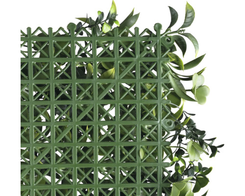 Grüne Pflanzenmatte mit Kunststoffgitter