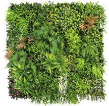Mur végétal artificiel avec différentes plantes