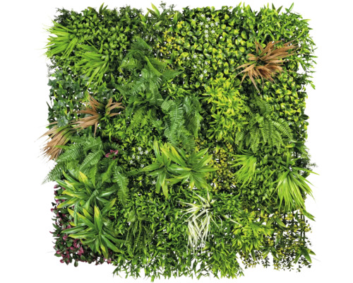 Mur végétal artificiel avec différentes plantes