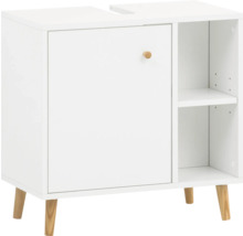 Meuble sous-lavabo avec porte et étagères