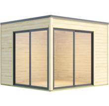 Abri de jardin avec portes coulissantes en verre