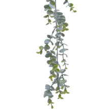 Guirlande d''eucalyptus avec feuilles rondes, décoration