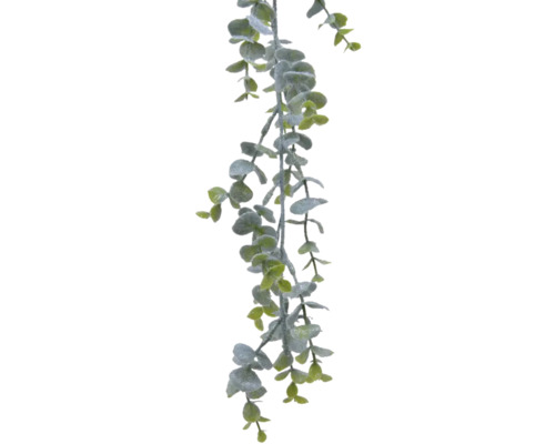 Guirlande d''eucalyptus avec feuilles rondes, décoration