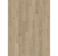 Helle Holzparkett-Oberfläche mit Maserung