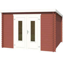 Abri de jardin avec double porte et fenêtres