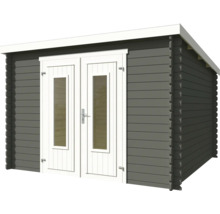 Abri de jardin avec double porte et fenêtres