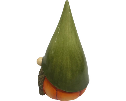 Nain de jardin avec bonnet vert