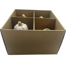 Citrouilles décoratives dans une boîte en carton à quatre compartiments