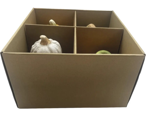 Dekorative Kürbisse in einer Pappbox mit vier Fächern