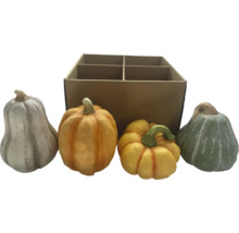 Calebasses décoratives en différentes versions avec boîte en carton