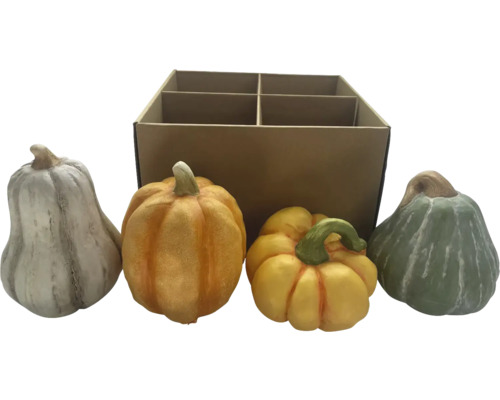 Calebasses décoratives en différentes versions avec boîte en carton
