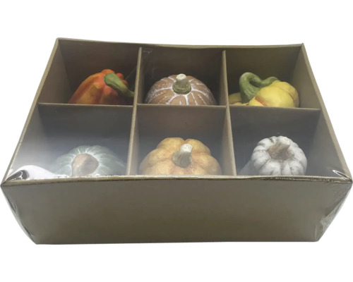 Citrouilles décoratives en lot de six dans une boîte en carton