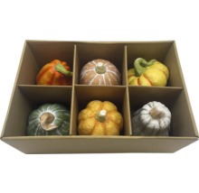 Calebasses décoratives de différentes couleurs dans une boîte en carton