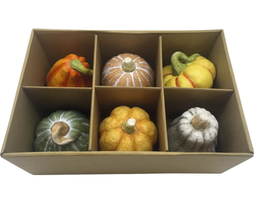 Calebasses décoratives de différentes couleurs dans une boîte en carton