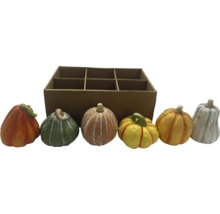 Citrouilles décoratives avec une boîte en carton pour la décoration de saison