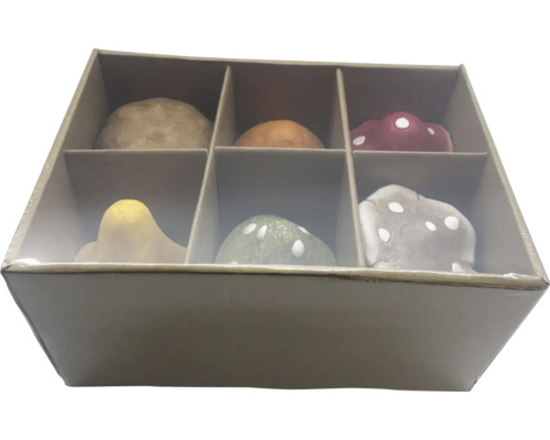Champignons décoratifs dans une boîte en carton