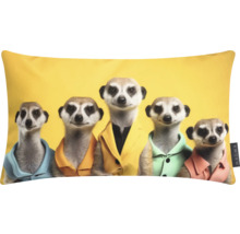 Dekokissen mit Erdmännchen-Motiv