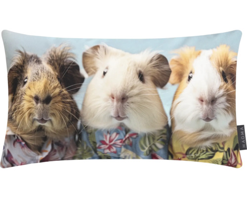 Dekokissen mit Meerschweinchenmotiv im Hemd