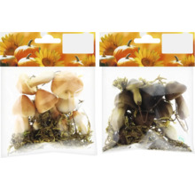 Dekorative Pilze aus Kunststoff in Verpackung