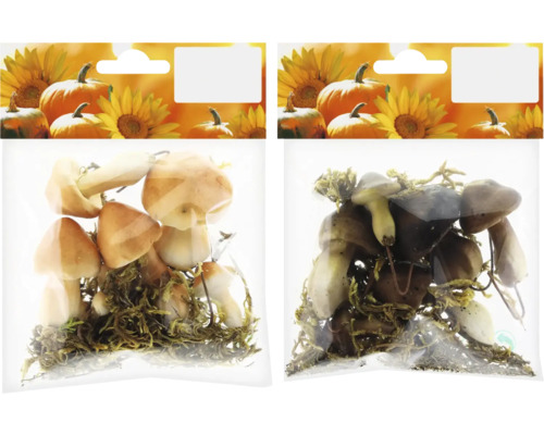 Dekorative Pilze aus Kunststoff in Verpackung