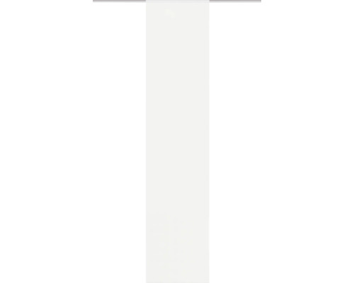 Roll-Up-Display