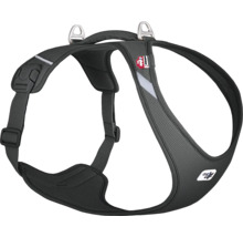 Gamelle curli T. noir