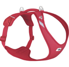 Gamelle curli T. rouge