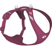 Gamelle curli T. rouge