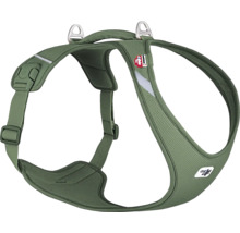 Gamelle curli T. vert